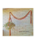 Vintage 70s "Sling and Swag" Macrame Plant Hanger Pattern Instant Download PDF 2 + 6 pages