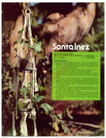 Macramé for Pots and Plants - 14 vintage 70s macrame plant hanger and owl patterns Instant Download PDF 20 pages