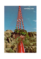 Vintage 70s Peppermint Twist Macrame Plant Hanger Pattern Instant Download PDF 2 + 4 pages