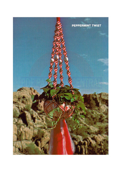 Vintage 70s Peppermint Twist Macrame Plant Hanger Pattern Instant Download PDF 2 + 4 pages
