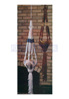 Vintage 70s Owl's Night Out Macrame Plant Hangers Pattern Instant Download PDF 2 + 3 pages