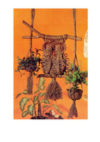 New Macramé - patterns for plant hangers and home decorating ideas Instant Download PDF 36 pages
