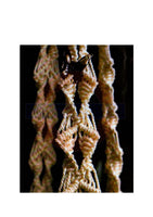 Vintage 70s Louene 2-Tier Macrame Plant Hanger Pattern Instant Download PDF 3 + 3 pages