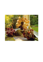 Bloomin' Macramé Vintage Macrame Floral Arrangements Patterns Instant Download PDF 24 pages