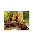 Bloomin' Macramé Vintage Macrame Floral Arrangements Patterns Instant Download PDF 24 pages