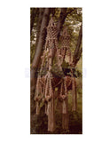 Vintage 70s Macrame Le Grand Plant Hanger Pattern Instant Download PDF 2 + 5 pages