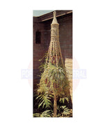 Vintage 70s "Nebuchadnezzer's Delight" Macrame Plant Hanger Pattern Instant Download PDF 2 + 9 pages