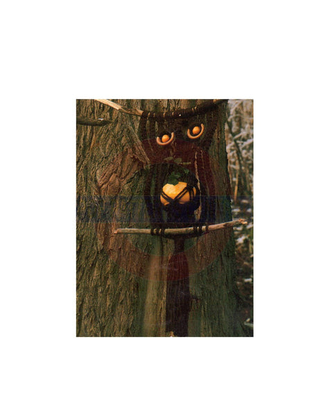 Vintage 70s Macrame "Napoléon" Owl Pattern Instant Download PDF 2 + 5 pages