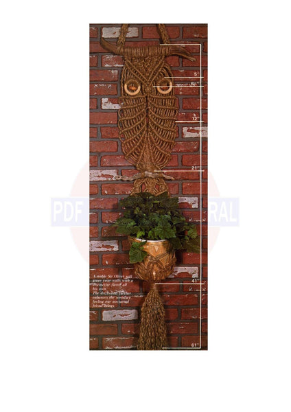 owl macrame plant hanger Vintage 70s "Sir Oliver Owl" Macrame Plant Hanger Pattern Instant Down – Patterns Central