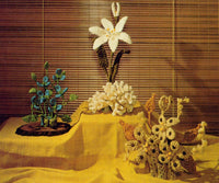 Bloomin' Macramé Vintage Macrame Floral Arrangements Patterns Instant Download PDF 24 pages
