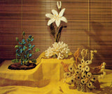 Bloomin' Macramé Vintage Macrame Floral Arrangements Patterns Instant Download PDF 24 pages