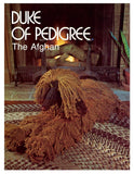 Vintage 70s Macrame Afghan Pattern Instant Download PDF 4+2 pages