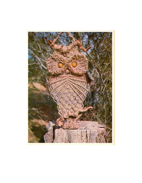 Vintage 70s Professor Nemo Owl Pattern Instant Download PDF 3 + 3 pages